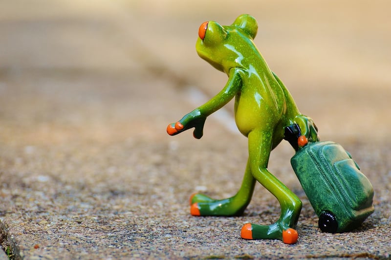 Traveler with backpack